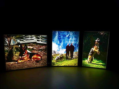 WhatsApp Image 2025-11-17 at 10.05.25 AM (1).jpeg__PID:ada3261b-2836-412e-aefe-817240d17870